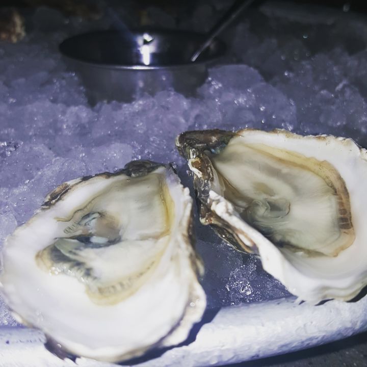 oysters