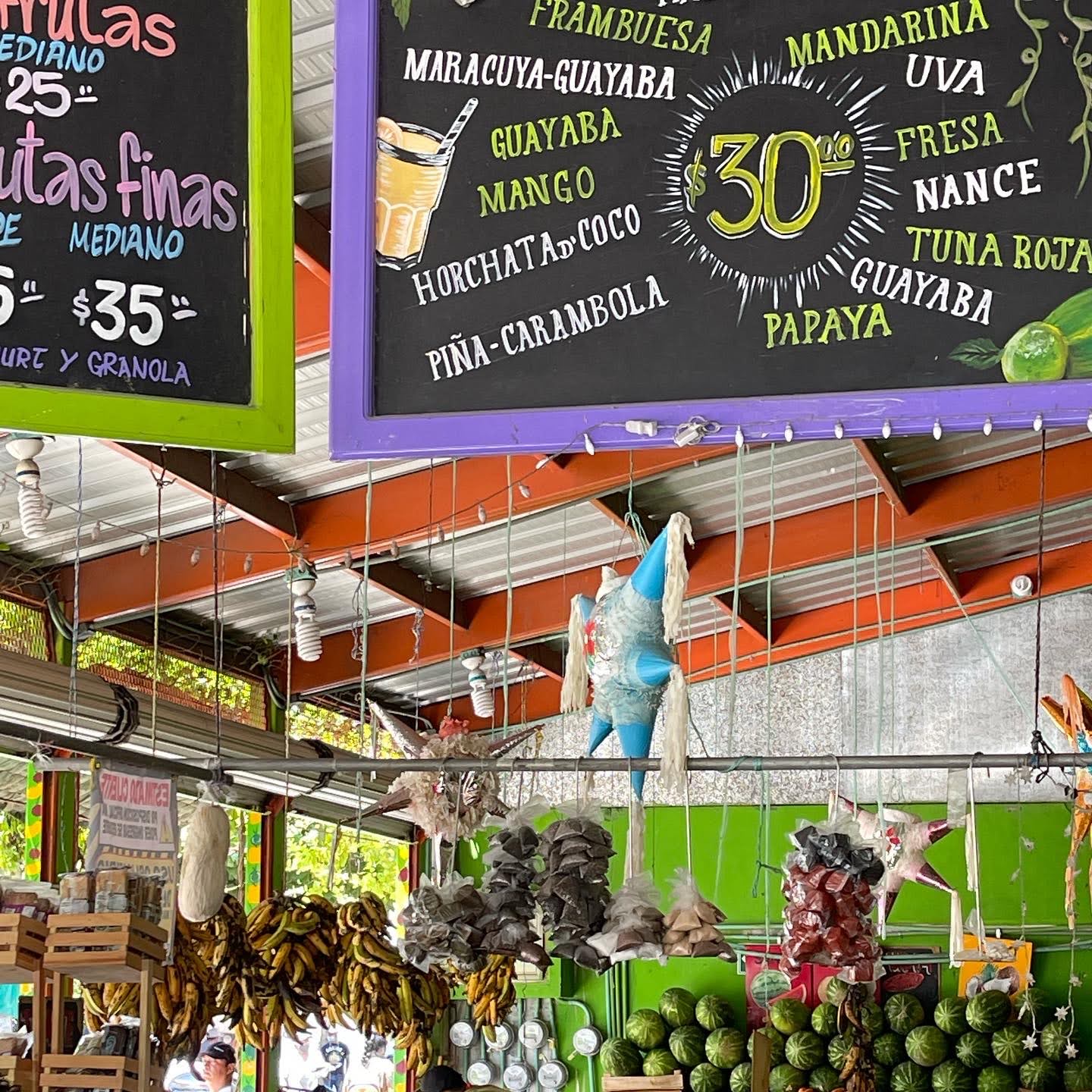 asavoryplanet-destinations-northamerica-mexico-walkingfoodtour-aquafrescastand